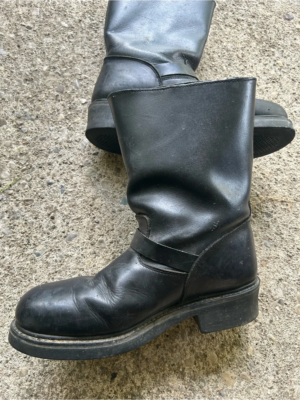 Texas Steer durable black
